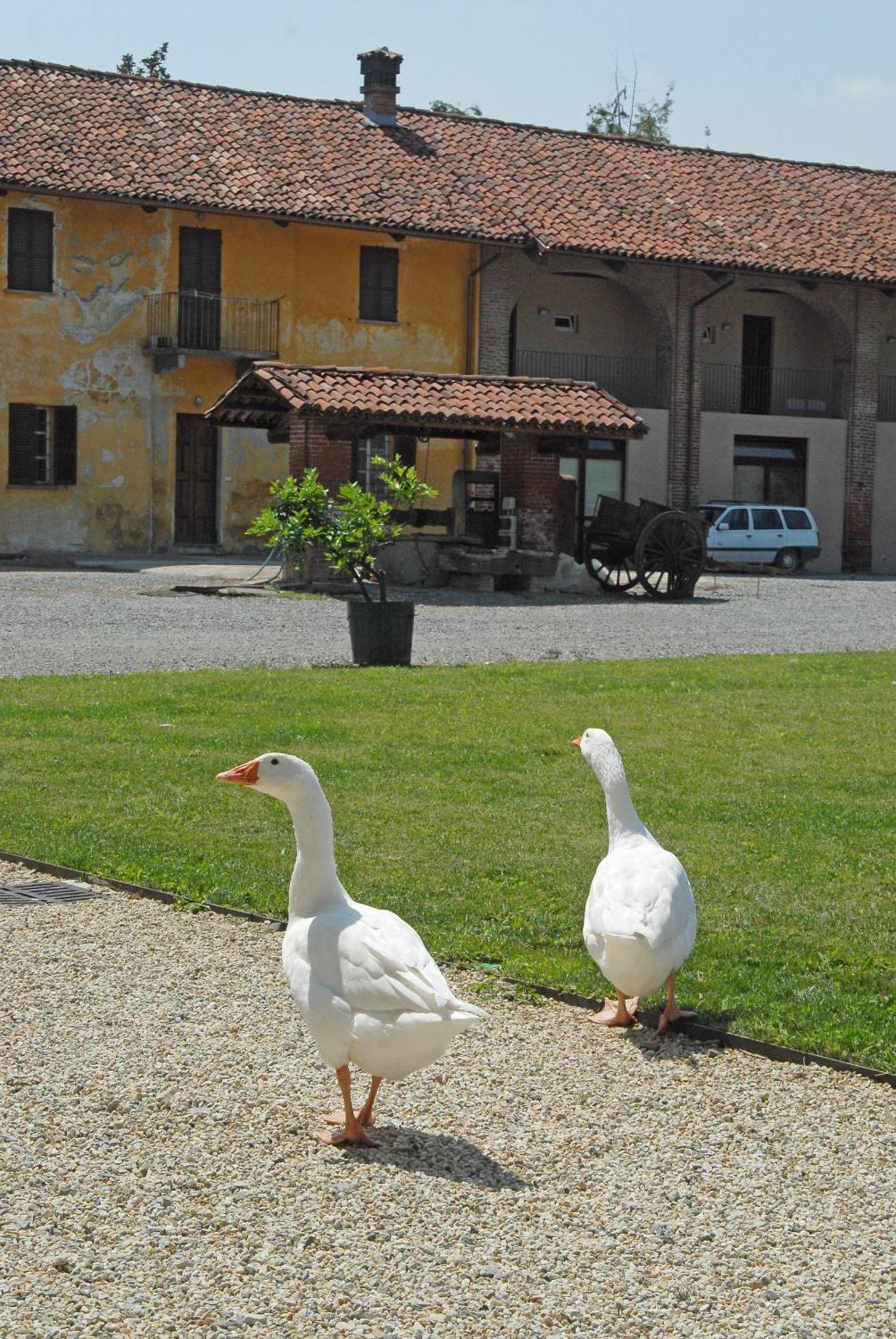Hotel Antico Podere Propano Saluzzo Bagian luar foto
